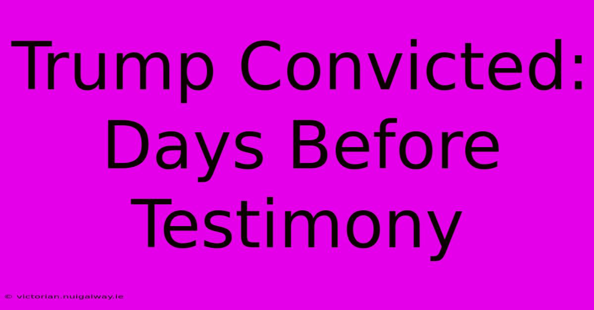 Trump Convicted: Days Before Testimony