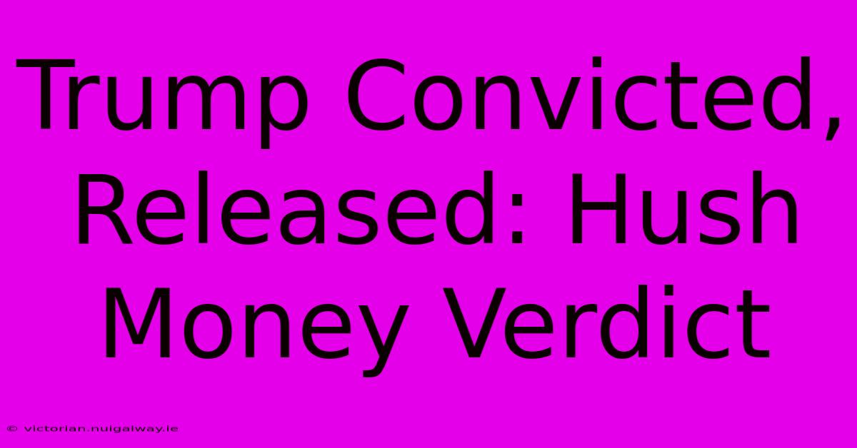 Trump Convicted, Released: Hush Money Verdict