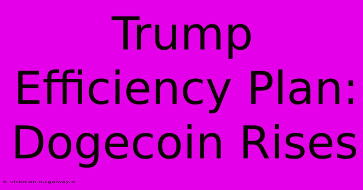 Trump Efficiency Plan: Dogecoin Rises