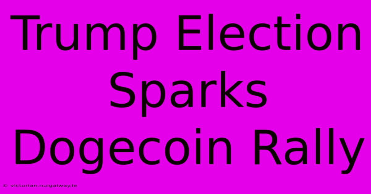 Trump Election Sparks Dogecoin Rally 