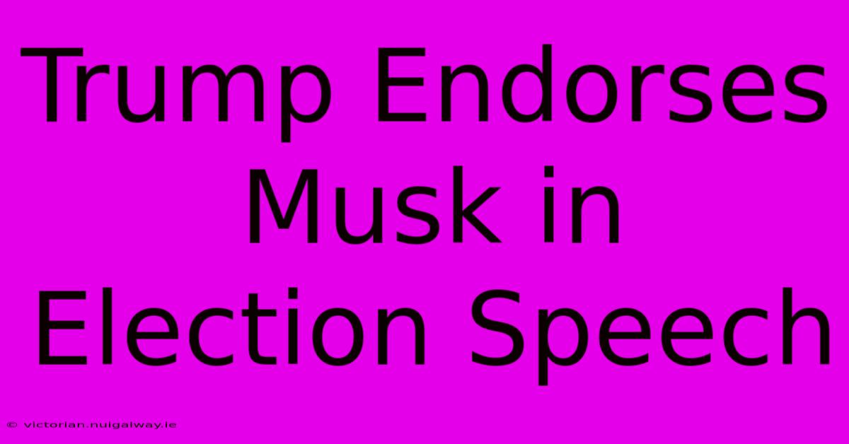 Trump Endorses Musk In Election Speech 