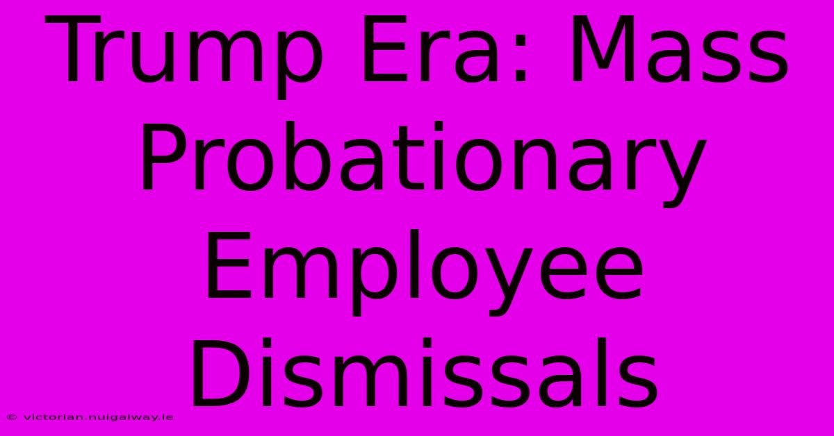 Trump Era: Mass Probationary Employee Dismissals