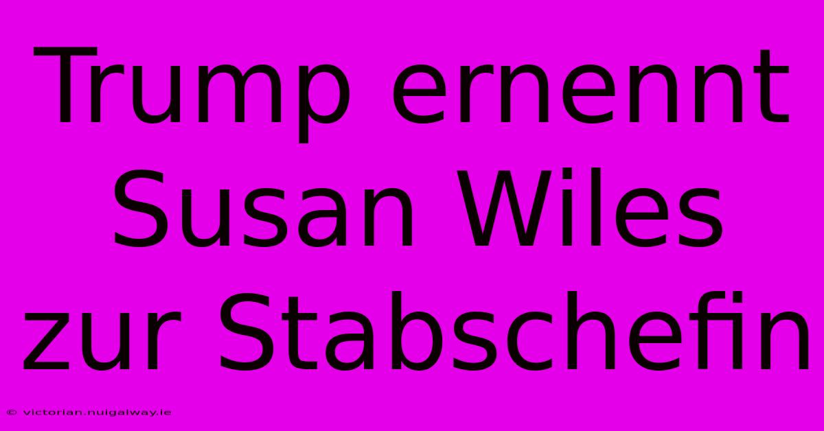 Trump Ernennt Susan Wiles Zur Stabschefin