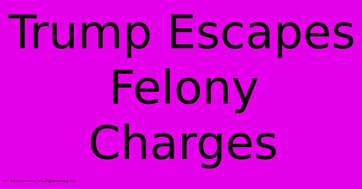 Trump Escapes Felony Charges