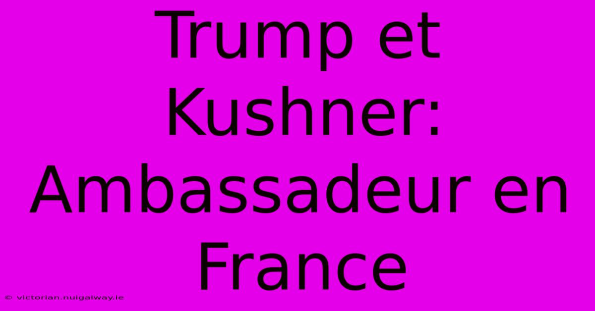 Trump Et Kushner: Ambassadeur En France