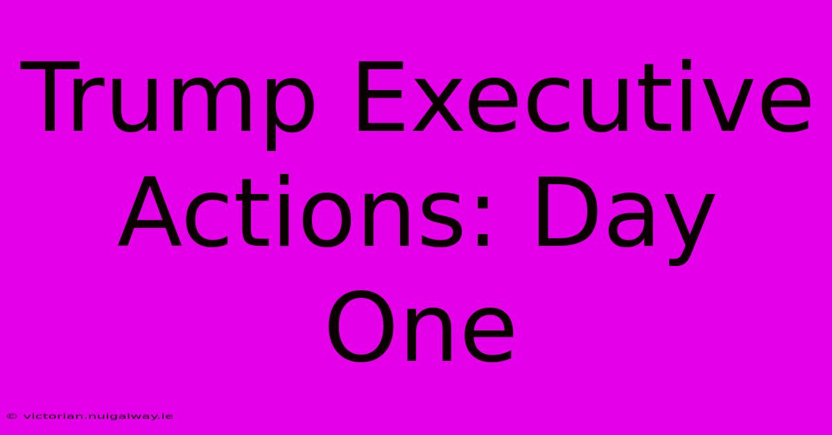 Trump Executive Actions: Day One