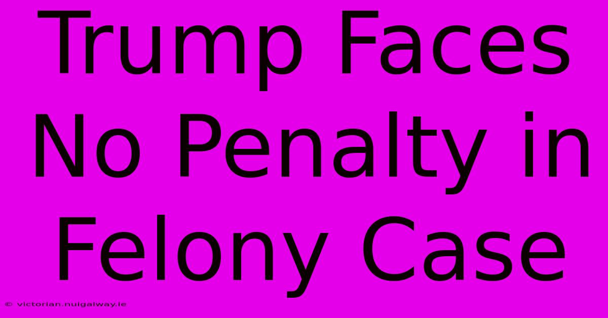 Trump Faces No Penalty In Felony Case