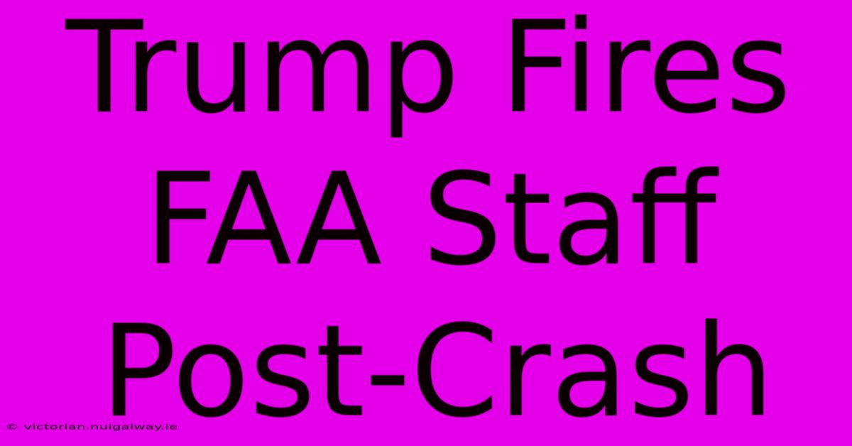 Trump Fires FAA Staff Post-Crash