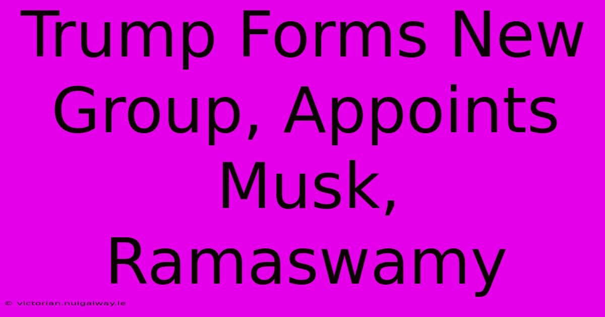 Trump Forms New Group, Appoints Musk, Ramaswamy 