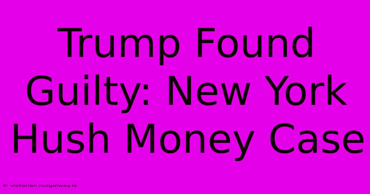 Trump Found Guilty: New York Hush Money Case