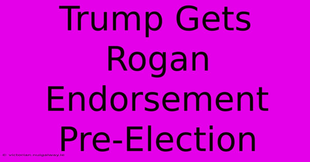 Trump Gets Rogan Endorsement Pre-Election