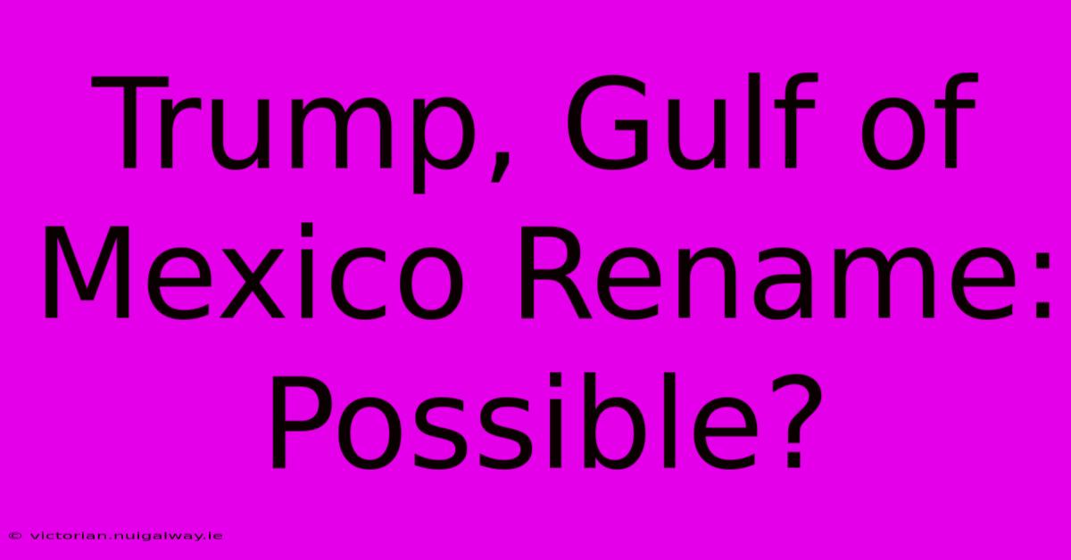 Trump, Gulf Of Mexico Rename: Possible?