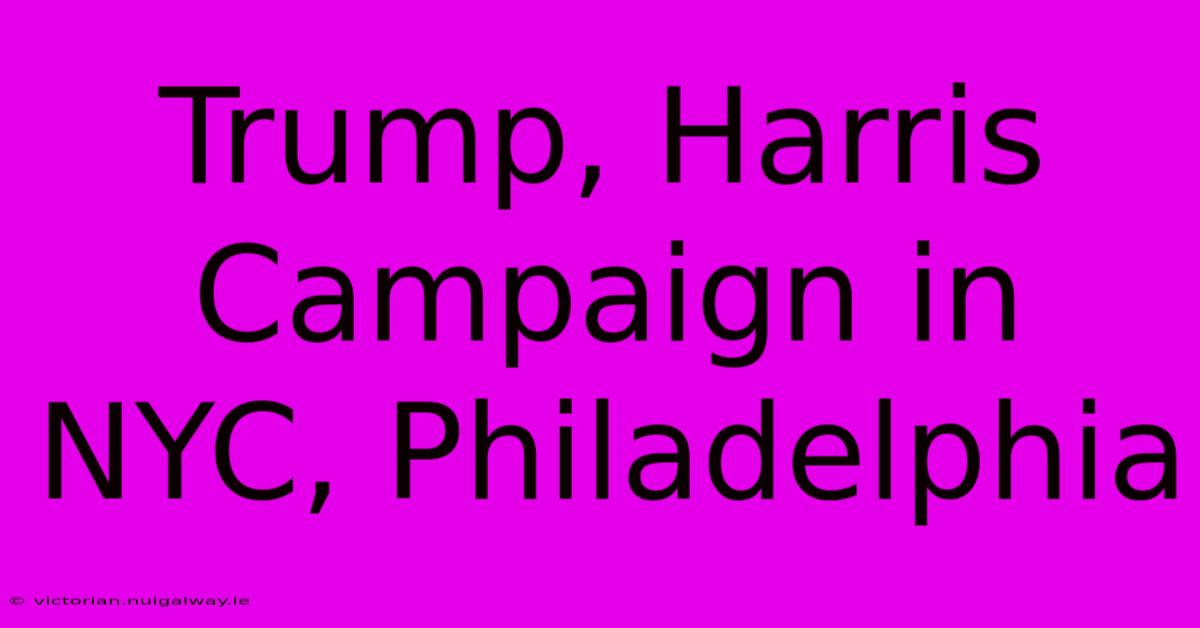 Trump, Harris Campaign In NYC, Philadelphia 