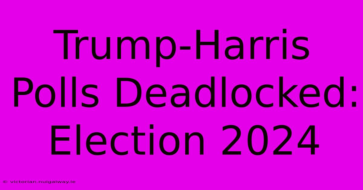 Trump-Harris Polls Deadlocked: Election 2024