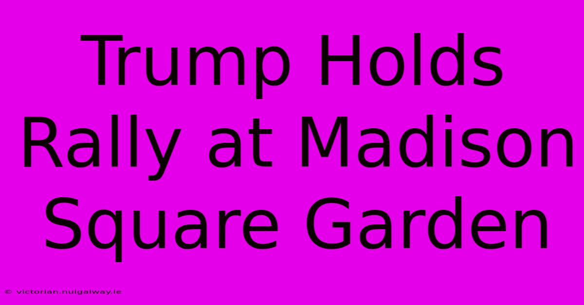 Trump Holds Rally At Madison Square Garden