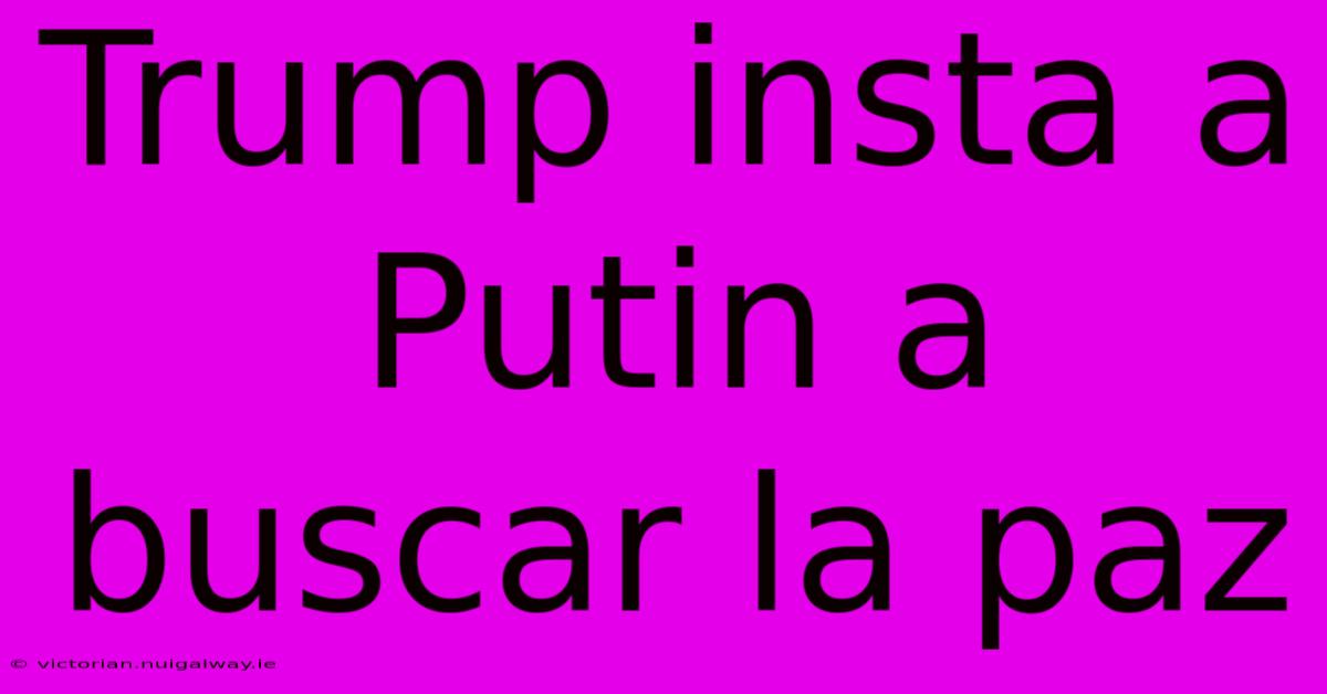 Trump Insta A Putin A Buscar La Paz 