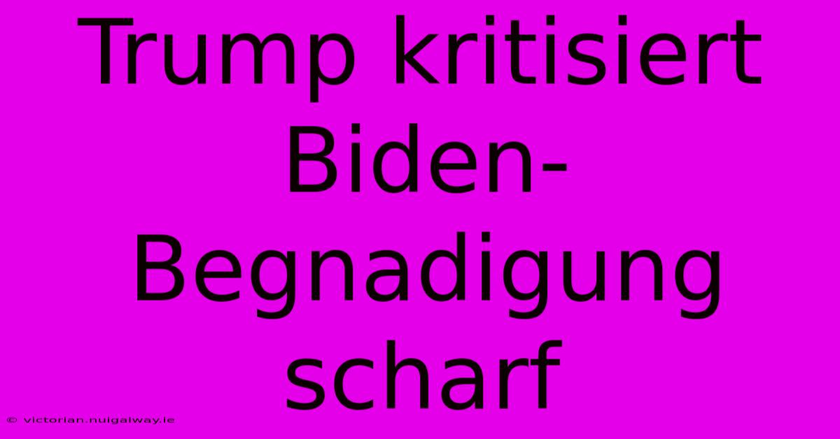 Trump Kritisiert Biden-Begnadigung Scharf