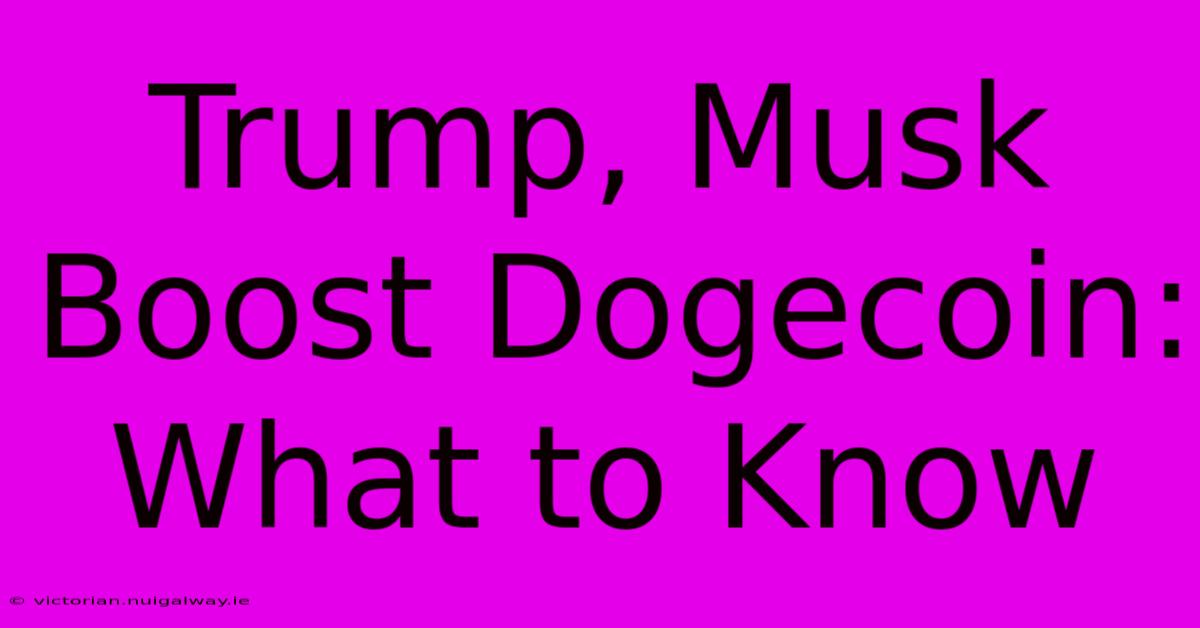 Trump, Musk Boost Dogecoin: What To Know