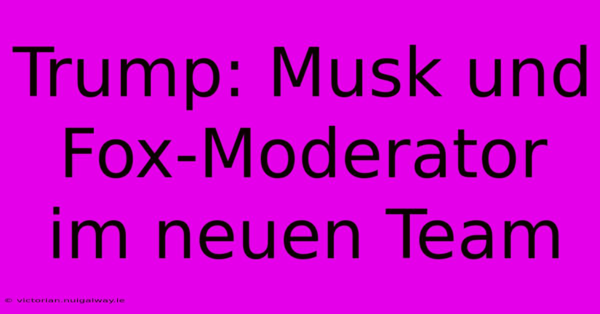 Trump: Musk Und Fox-Moderator Im Neuen Team 