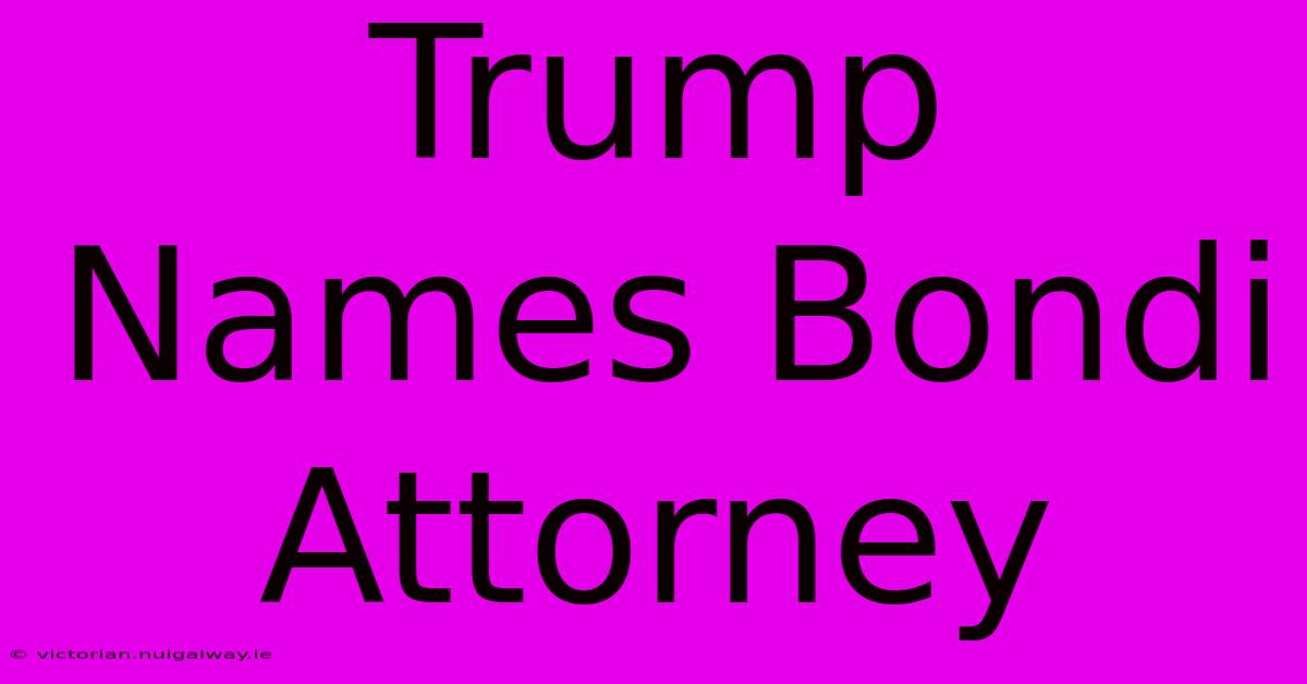 Trump Names Bondi Attorney