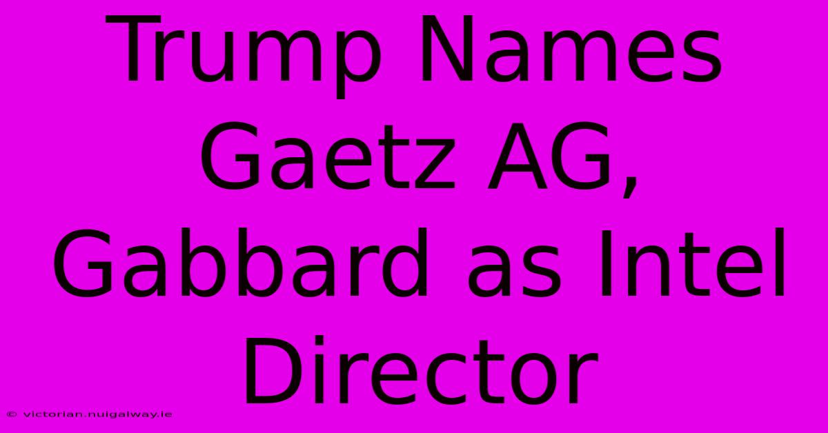 Trump Names Gaetz AG, Gabbard As Intel Director 