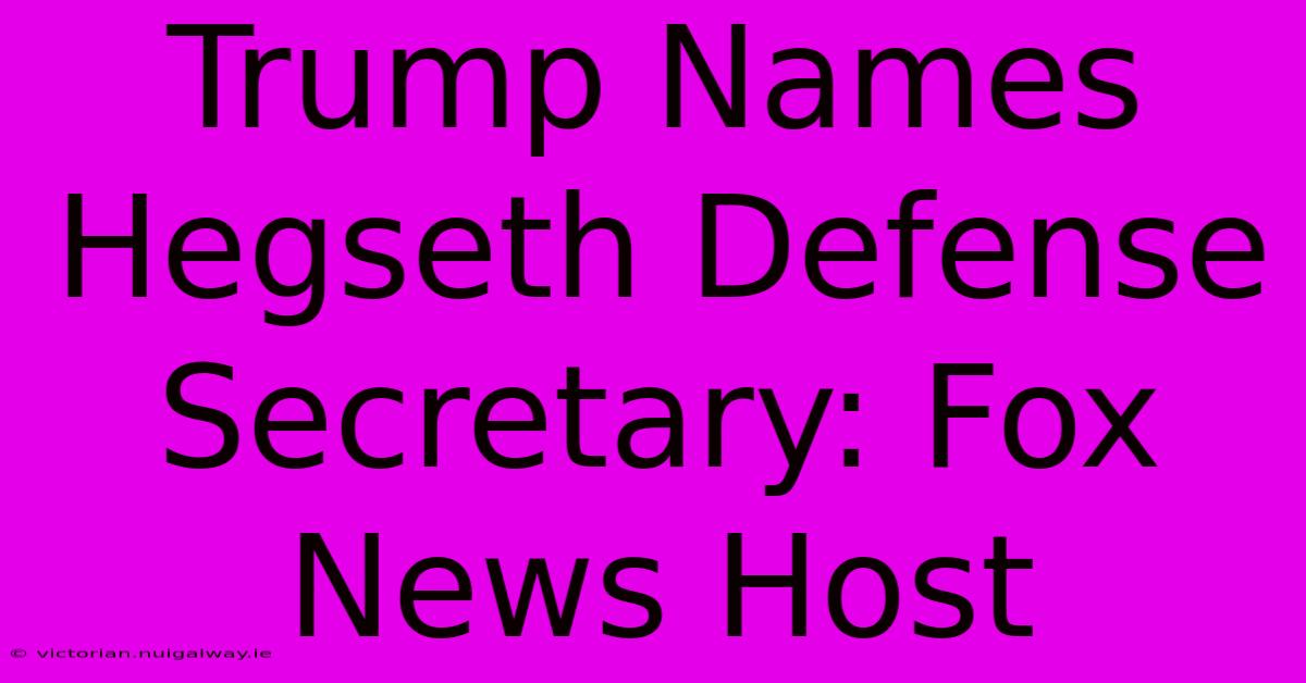 Trump Names Hegseth Defense Secretary: Fox News Host