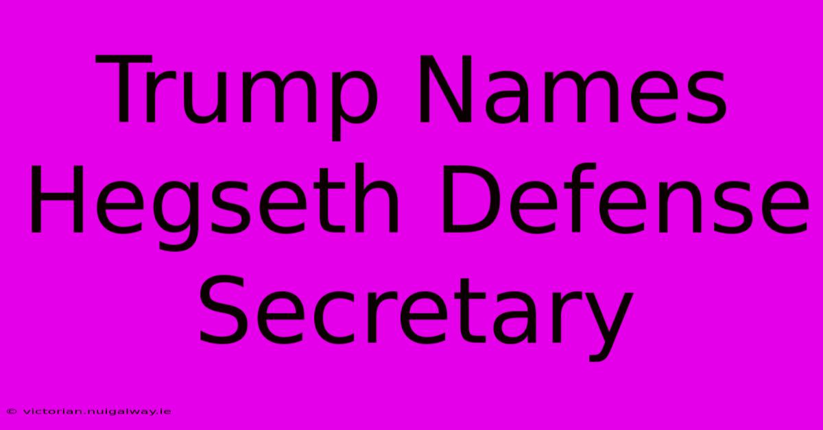 Trump Names Hegseth Defense Secretary