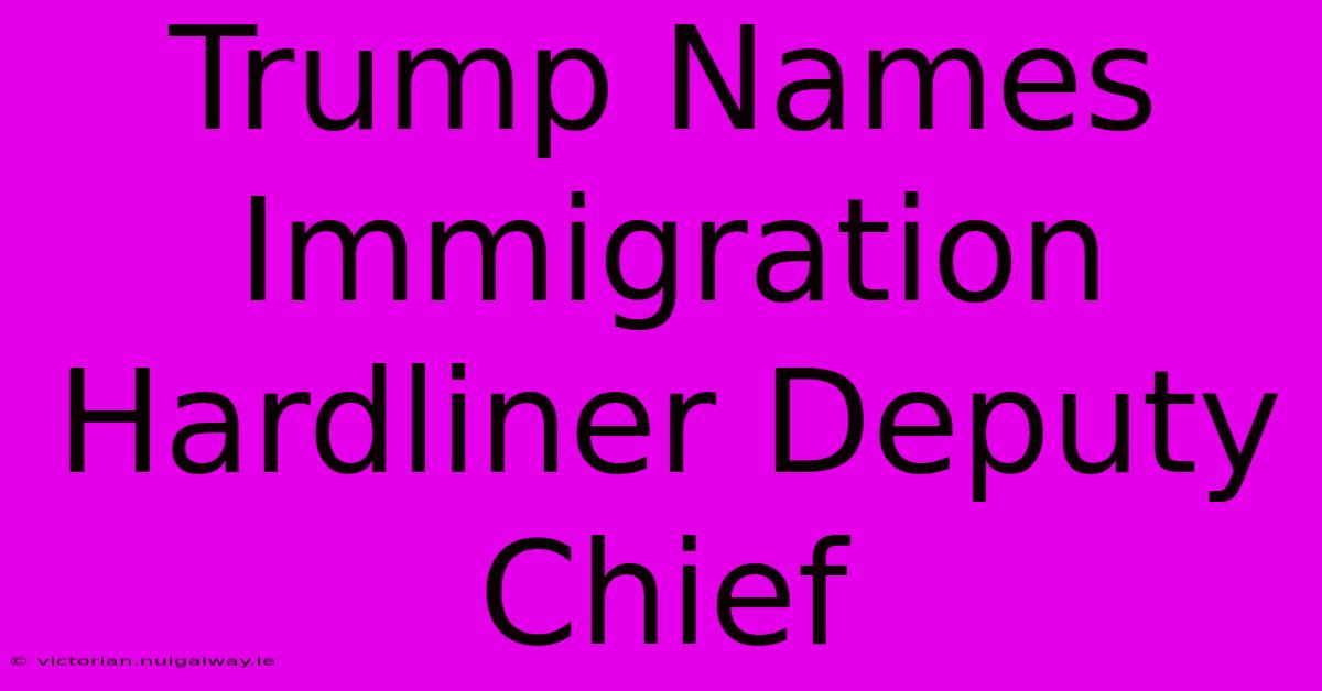 Trump Names Immigration Hardliner Deputy Chief 