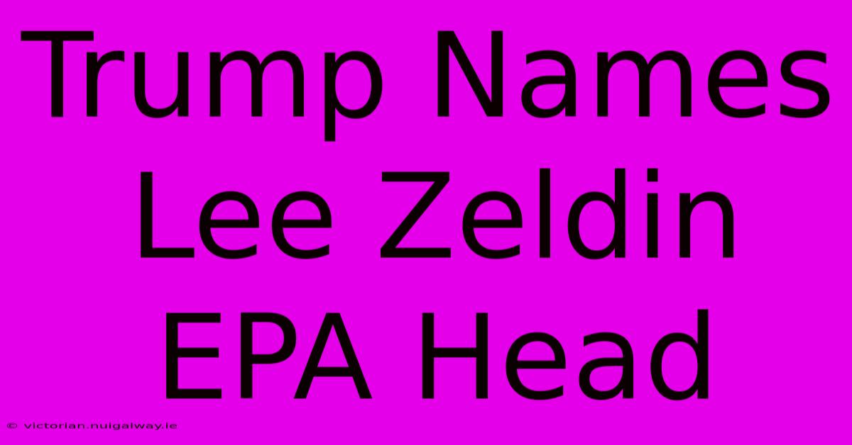 Trump Names Lee Zeldin EPA Head