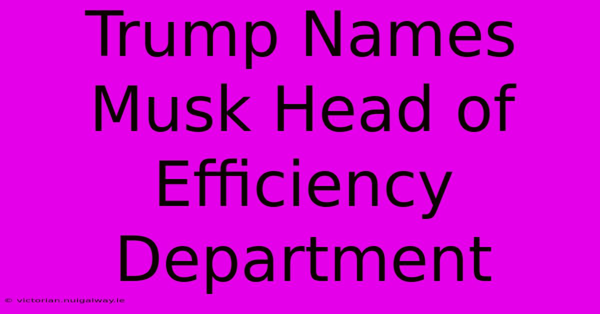 Trump Names Musk Head Of Efficiency Department