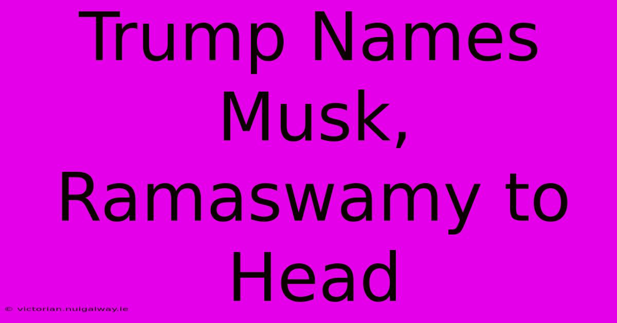 Trump Names Musk, Ramaswamy To Head