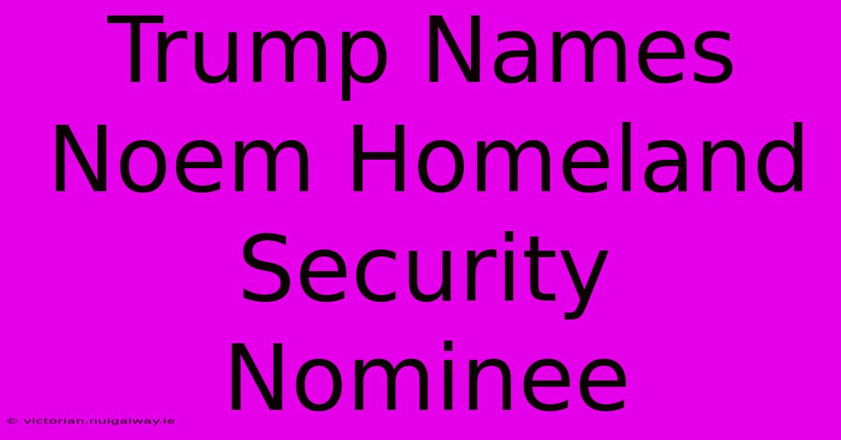 Trump Names Noem Homeland Security Nominee 