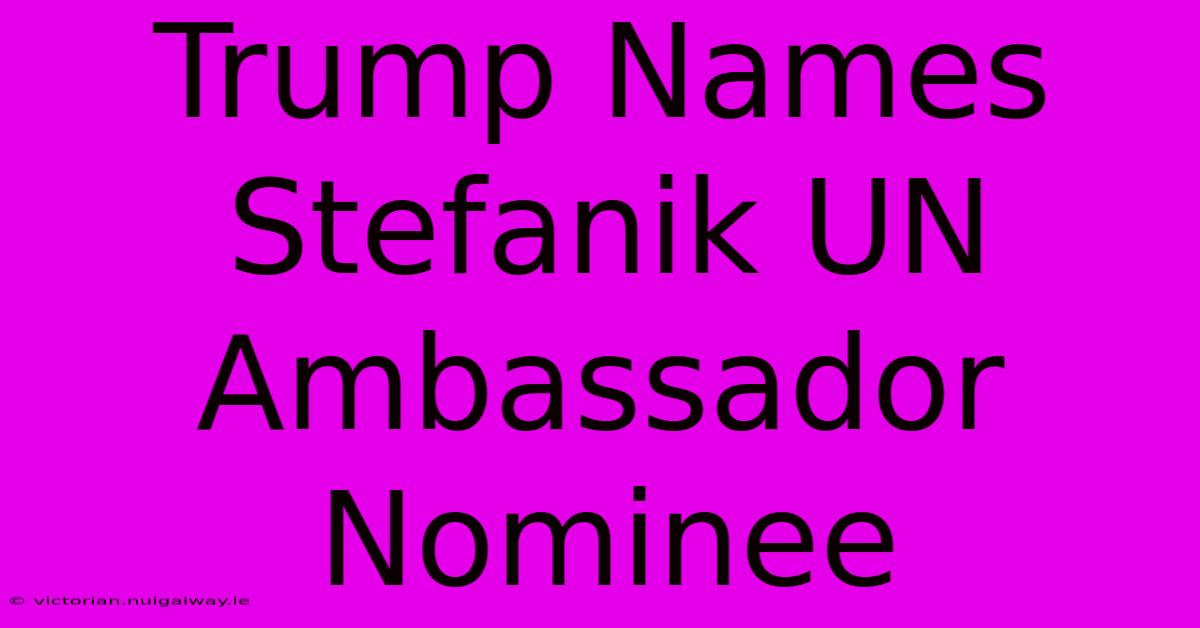 Trump Names Stefanik UN Ambassador Nominee 