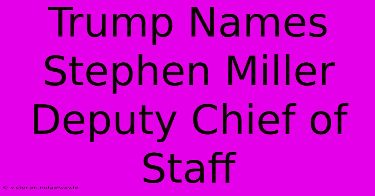 Trump Names Stephen Miller Deputy Chief Of Staff