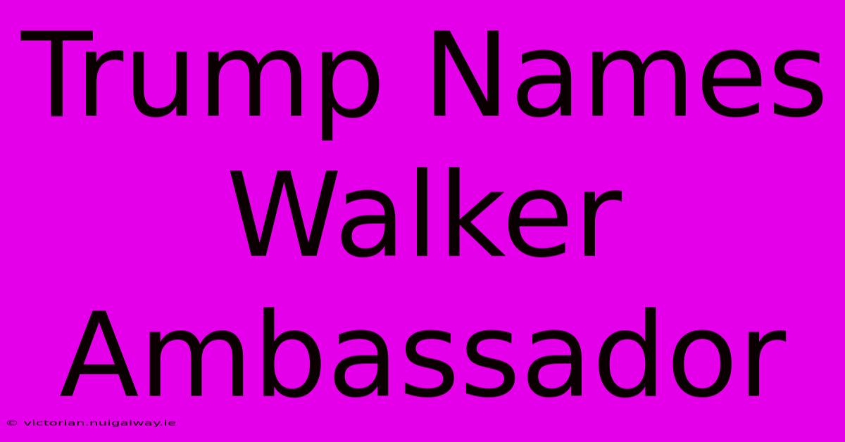 Trump Names Walker Ambassador