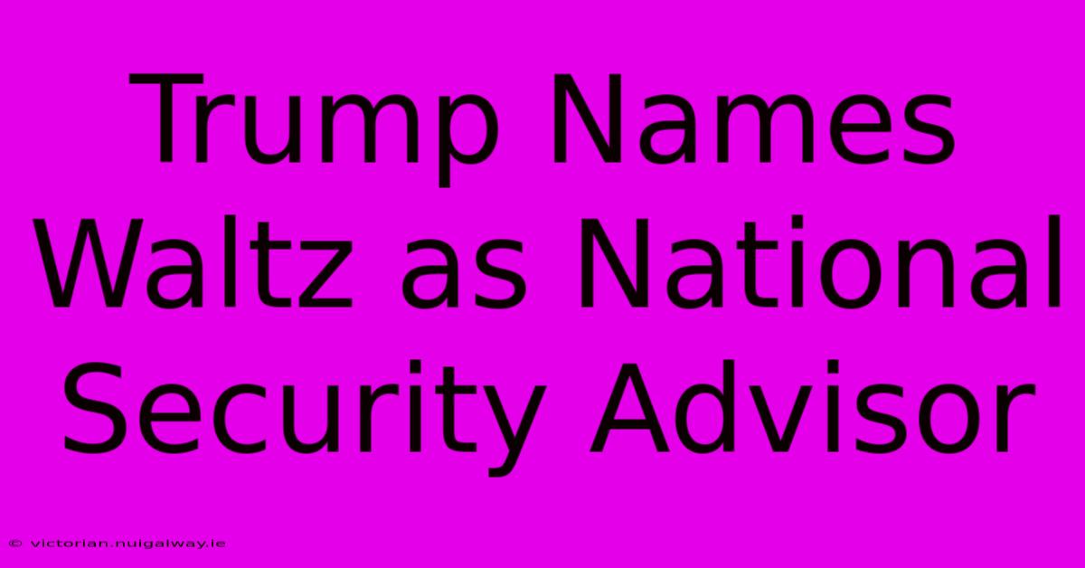 Trump Names Waltz As National Security Advisor