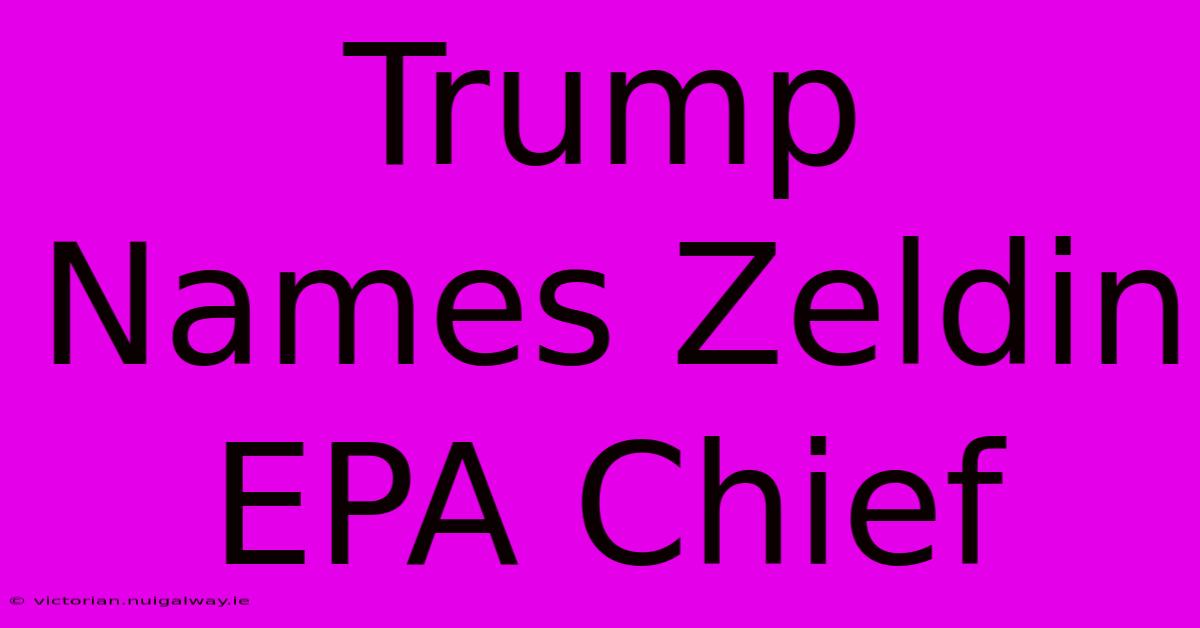 Trump Names Zeldin EPA Chief 