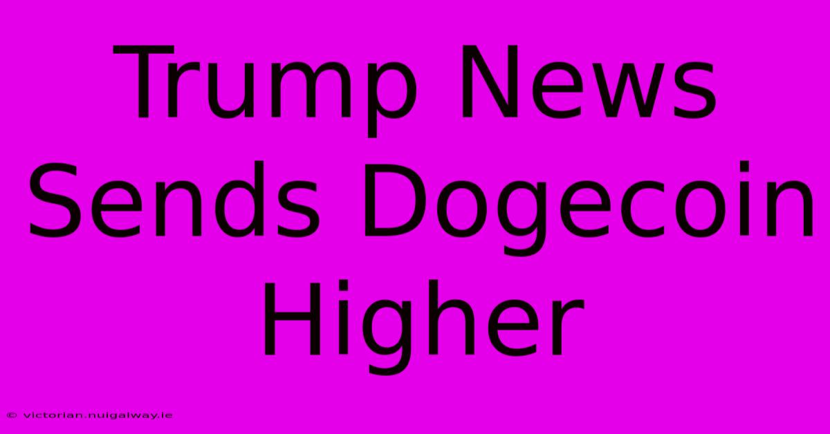 Trump News Sends Dogecoin Higher