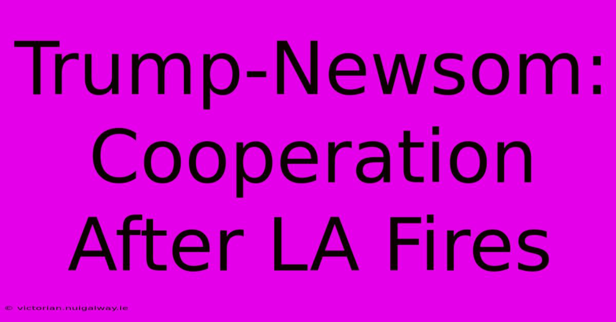 Trump-Newsom:  Cooperation After LA Fires