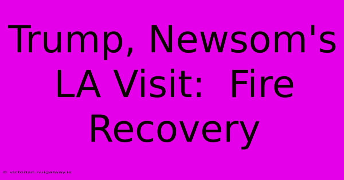 Trump, Newsom's LA Visit:  Fire Recovery