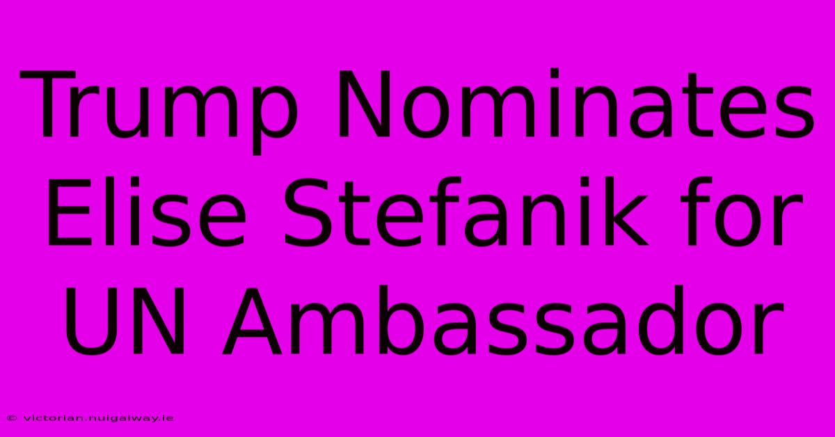 Trump Nominates Elise Stefanik For UN Ambassador 