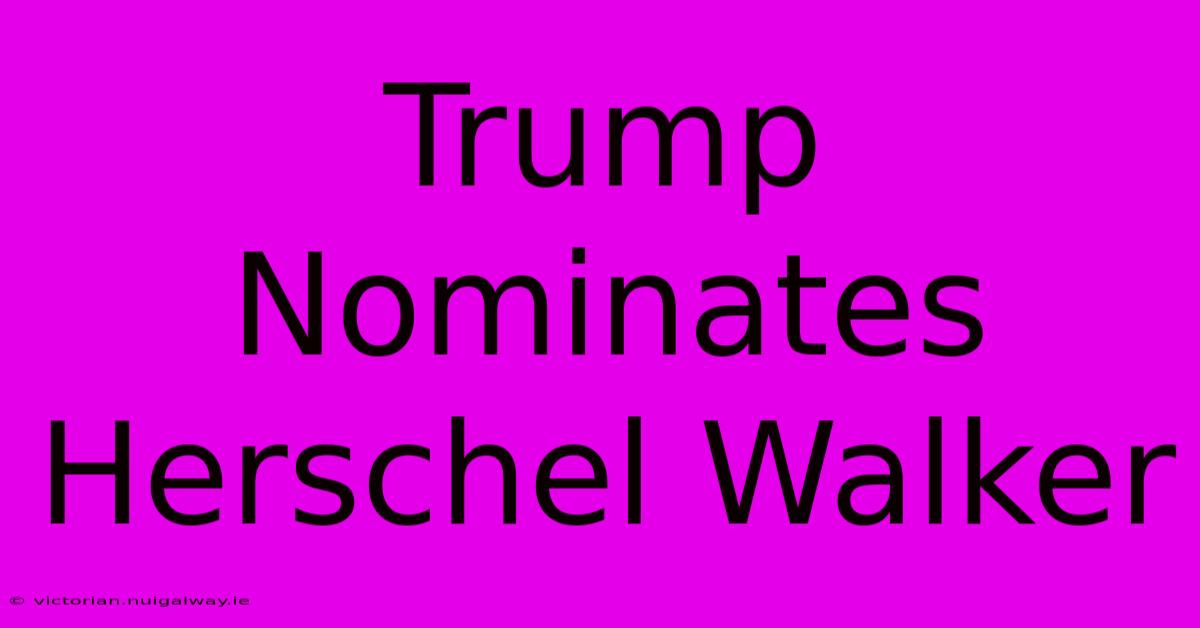 Trump Nominates Herschel Walker