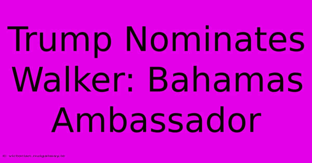 Trump Nominates Walker: Bahamas Ambassador