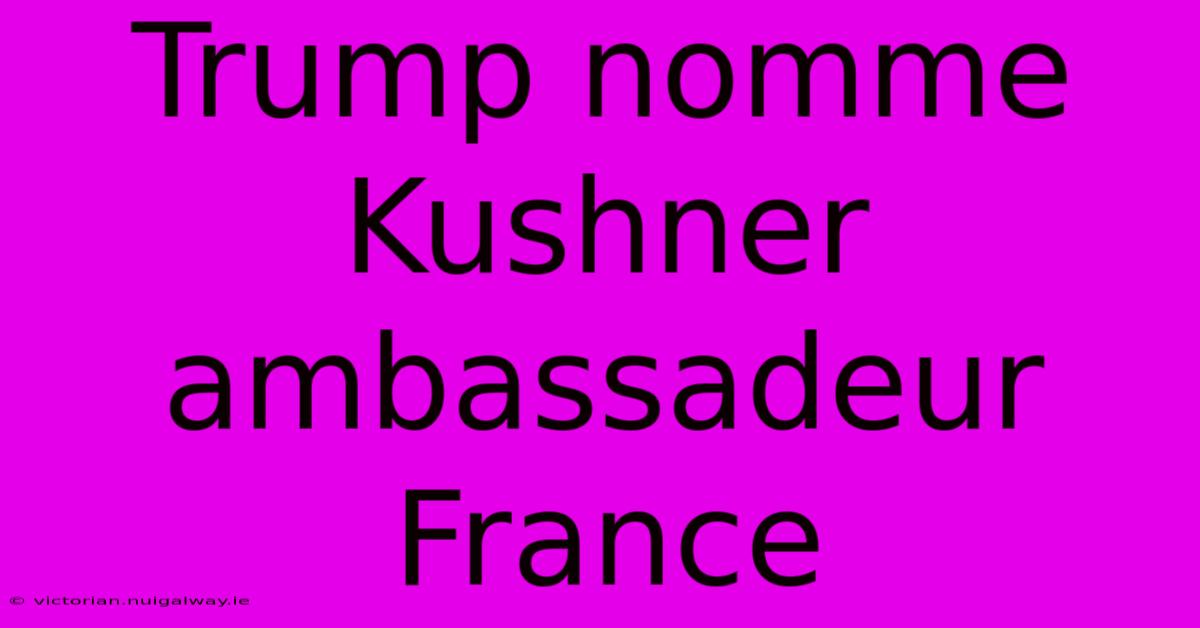 Trump Nomme Kushner Ambassadeur France