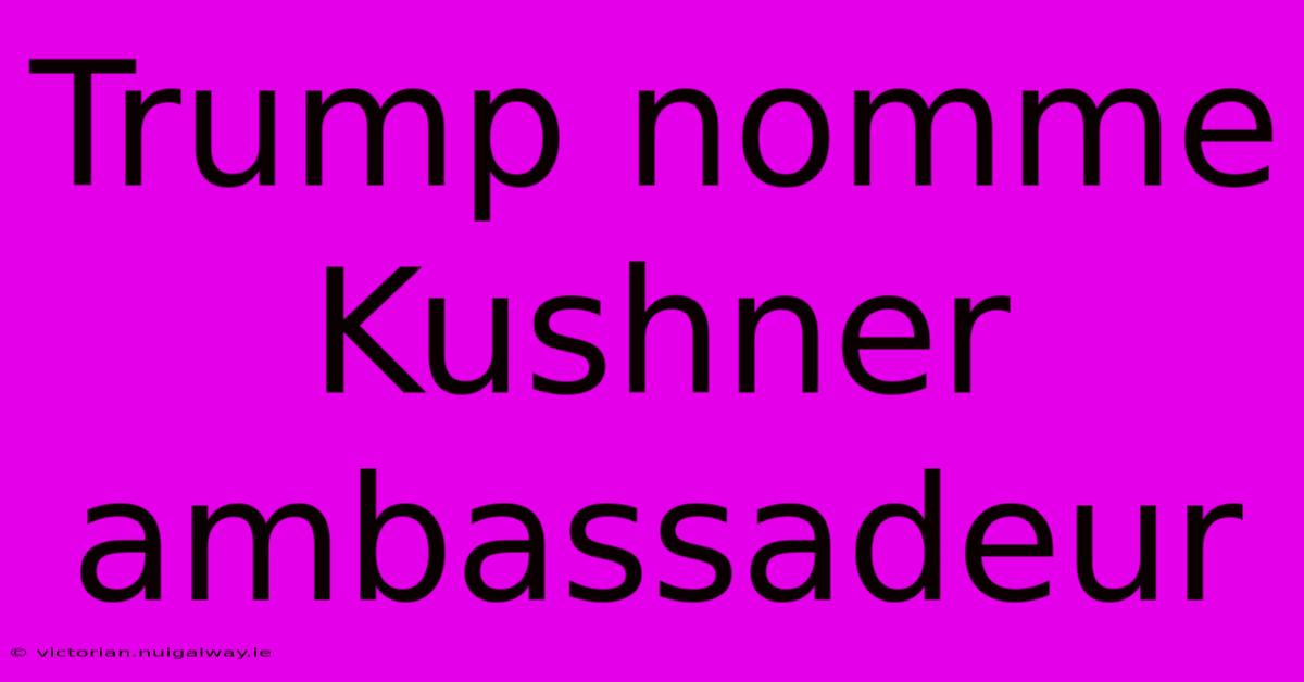 Trump Nomme Kushner Ambassadeur