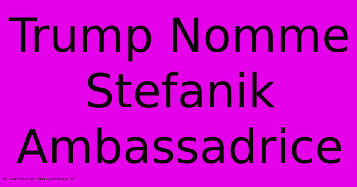 Trump Nomme Stefanik Ambassadrice