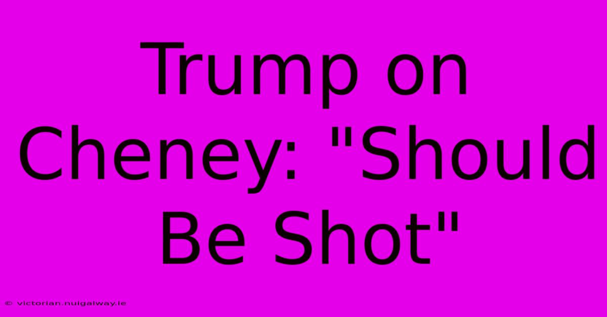 Trump On Cheney: 