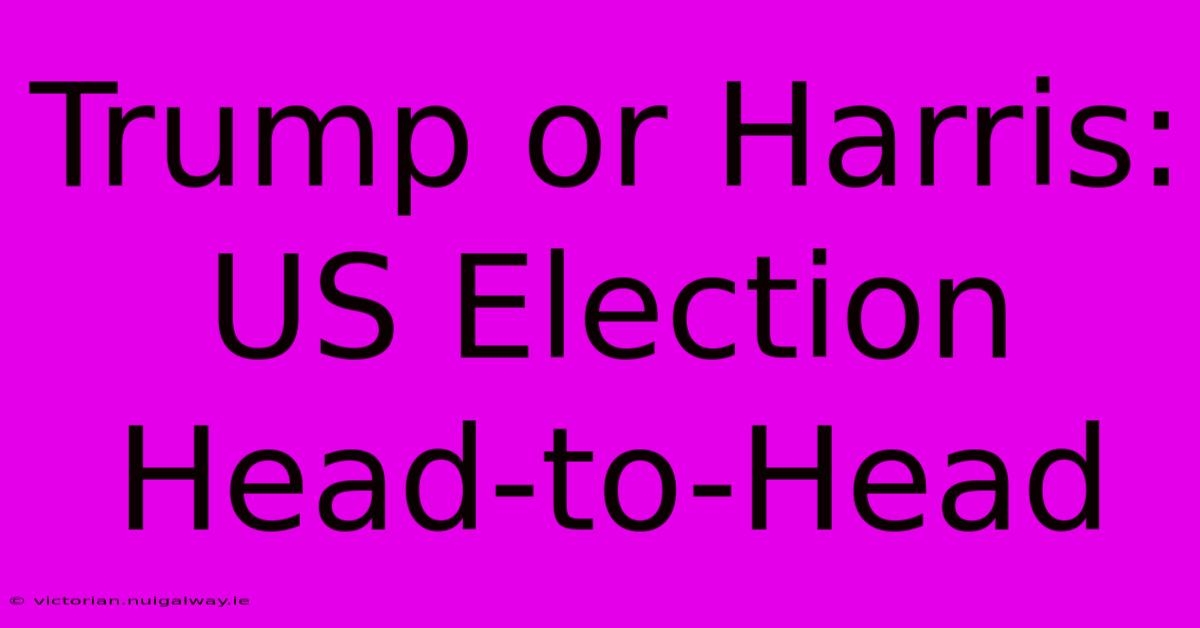 Trump Or Harris: US Election Head-to-Head