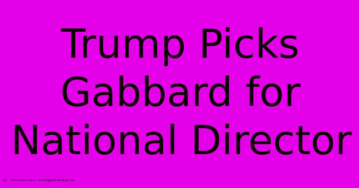 Trump Picks Gabbard For National Director