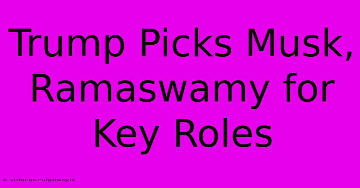 Trump Picks Musk, Ramaswamy For Key Roles